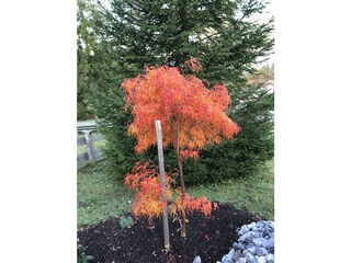 Vakantieappartement Krün Buitenaudio-opname 17