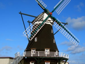 Holiday apartment Inselblick in der Nordermühle - Pellworm - image1