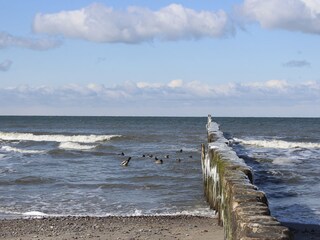 Winter an der Ostsee-ein Erlebnis