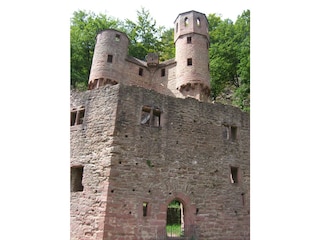 Burg Schadeck Neckarsteinach "Schwalbennest"