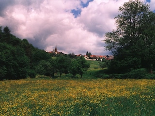Frühlingsblick auf Rothenberg