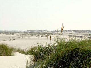 Ferienwohnung Norderney Umgebung 10