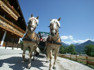 Appartamento St. Wolfgang Ambiente 25