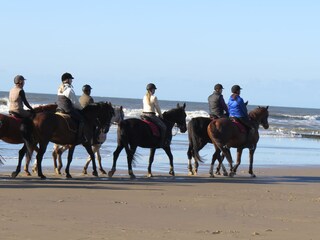 Casa per le vacanze Julianadorp Ambiente 17