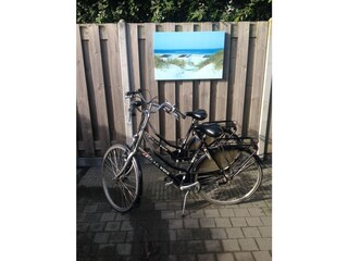 Appartamento per vacanze Domburg Caratteristiche 14