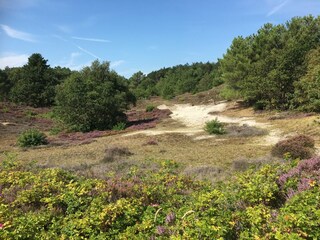 Endloses Radfahren durch die Dünen