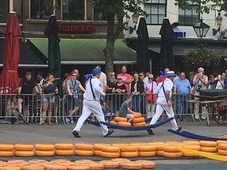 Käsemarkt am Freitag in Alkmaar