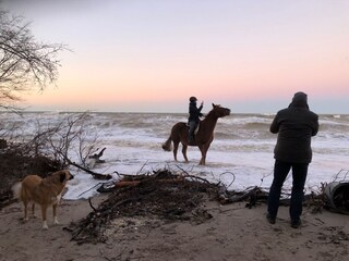 Bei Sturm am Strand