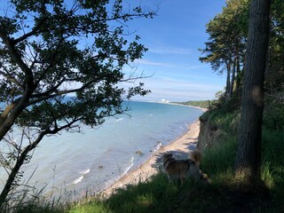 Blick von der Steilküste nach Warnemünde