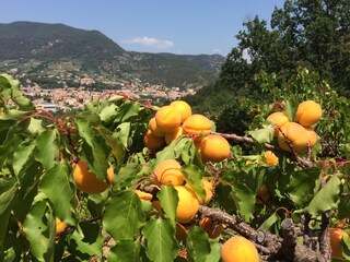 Appartamento per vacanze Nyons Registrazione all'aperto 9