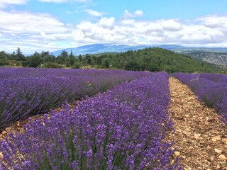 Appartamento per vacanze Nyons Ambiente 20