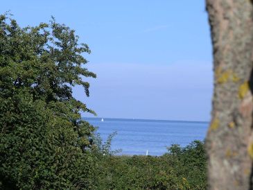 Ferienwohnung Insel-Suite Amrum