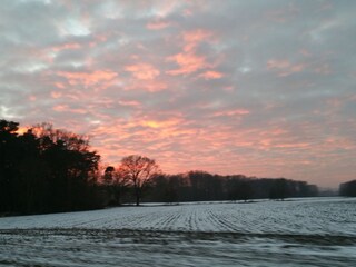 unser See im Winter