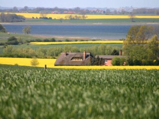 Boiesdorfer Werder