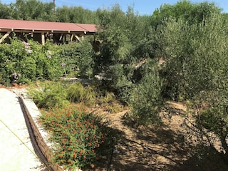Villa Kamaria Outdoor Recording 16