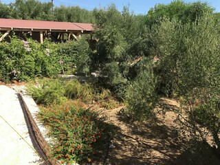 Villa Kamaria Registrazione all'aperto 15