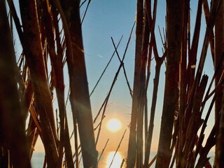 Appartamento per vacanze Westkapelle Ambiente 29