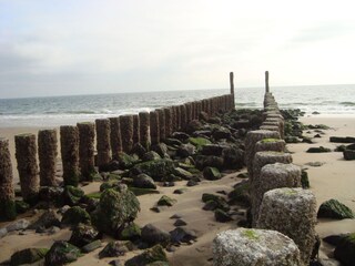 Appartamento per vacanze Westkapelle Ambiente 27