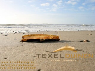 Appartamento per vacanze Den Hoorn Documento 29