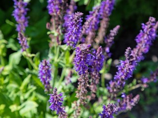 Casa per le vacanze De Cocksdorp Registrazione all'aperto 9