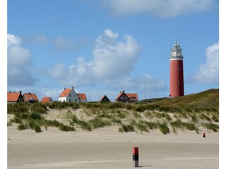 Vakantiehuis De Koog Omgeving 39