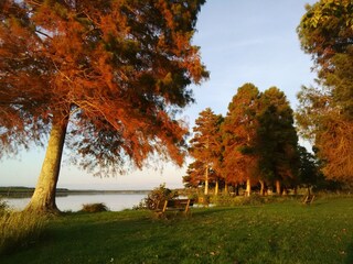 Vakantiehuis Soustons Omgeving 28