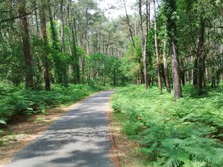 Vakantiehuis Soustons Omgeving 31