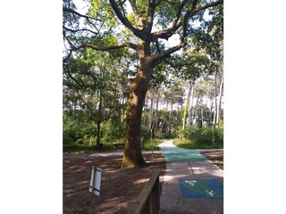 Vakantiehuis Soustons Omgeving 32