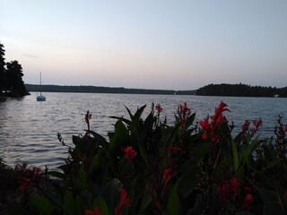 Vakantiehuis Soustons Omgeving 29