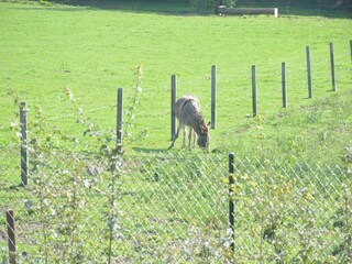 Maison de vacances Doische Enregistrement extérieur 9