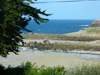 Casa per le vacanze Landunvez Ambiente 13