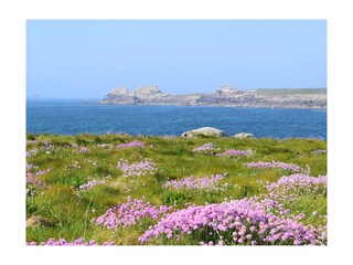 Casa per le vacanze Landunvez Ambiente 16