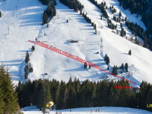 Appartamento Babsi-Alm Tipo C