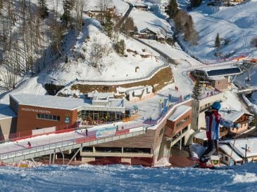 Apartment Babsi-Alm Typ C
