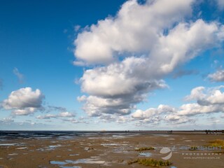 Vakantiehuis Hooksiel Omgeving 29