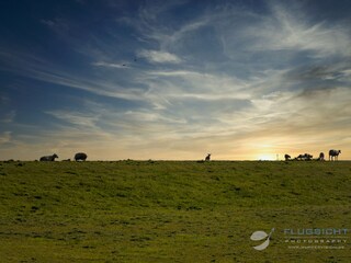 Blaue Stunde am Deich