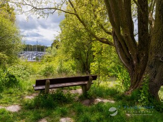 Vakantiehuis Hooksiel Omgeving 30