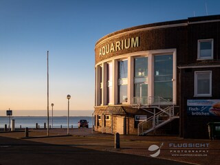 Aquarium am Bontekai