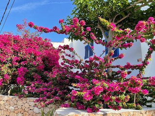 Casa de vacaciones Cala Vadella Grabación al aire libre 13