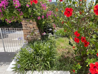 Ferienhaus Cala Vadella Außenaufnahme 6