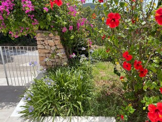 Vakantiehuis Cala Vadella Buitenaudio-opname 6