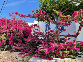 Casa de vacaciones Cala Vadella Grabación al aire libre 17