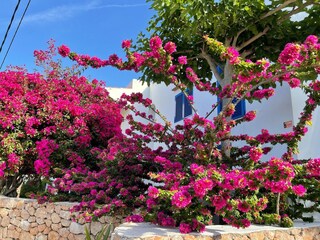 Holiday house Cala Vadella Outdoor Recording 13
