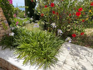 Ferienhaus Cala Vadella Außenaufnahme 12