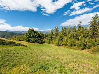 Type de propriété : Ferme Apecchio Environnement 32