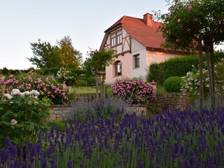 Casa per le vacanze Rinteln Registrazione all'aperto 5