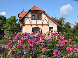 Casa per le vacanze Rinteln Registrazione all'aperto 7