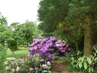 Casa per le vacanze Rinteln Registrazione all'aperto 4