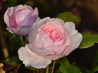 Casa per le vacanze Rinteln Registrazione all'aperto 10