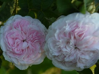 Casa per le vacanze Rinteln Registrazione all'aperto 12